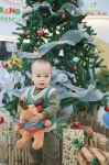 Merry Christmas 2024 - Ghi dấu mùa Giáng sinh an lành Hoa Trạng Nguyên